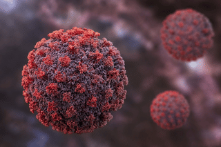 Spain tests suspected hantavirus case in Alicante