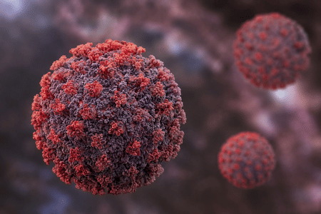 Spain tests suspected hantavirus case in Alicante