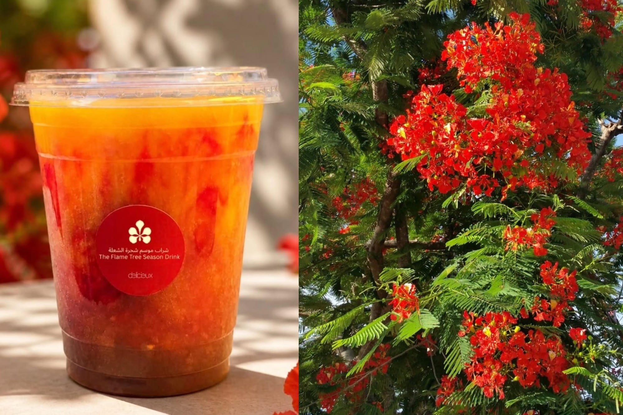 From floral Bellinis to limited gelato, experience the taste of the Flame Tree season.