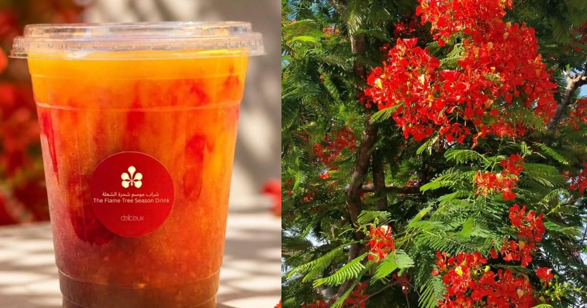 8 Must-try treats inspired by Sheikh Hamdan’s flame tree Initiative