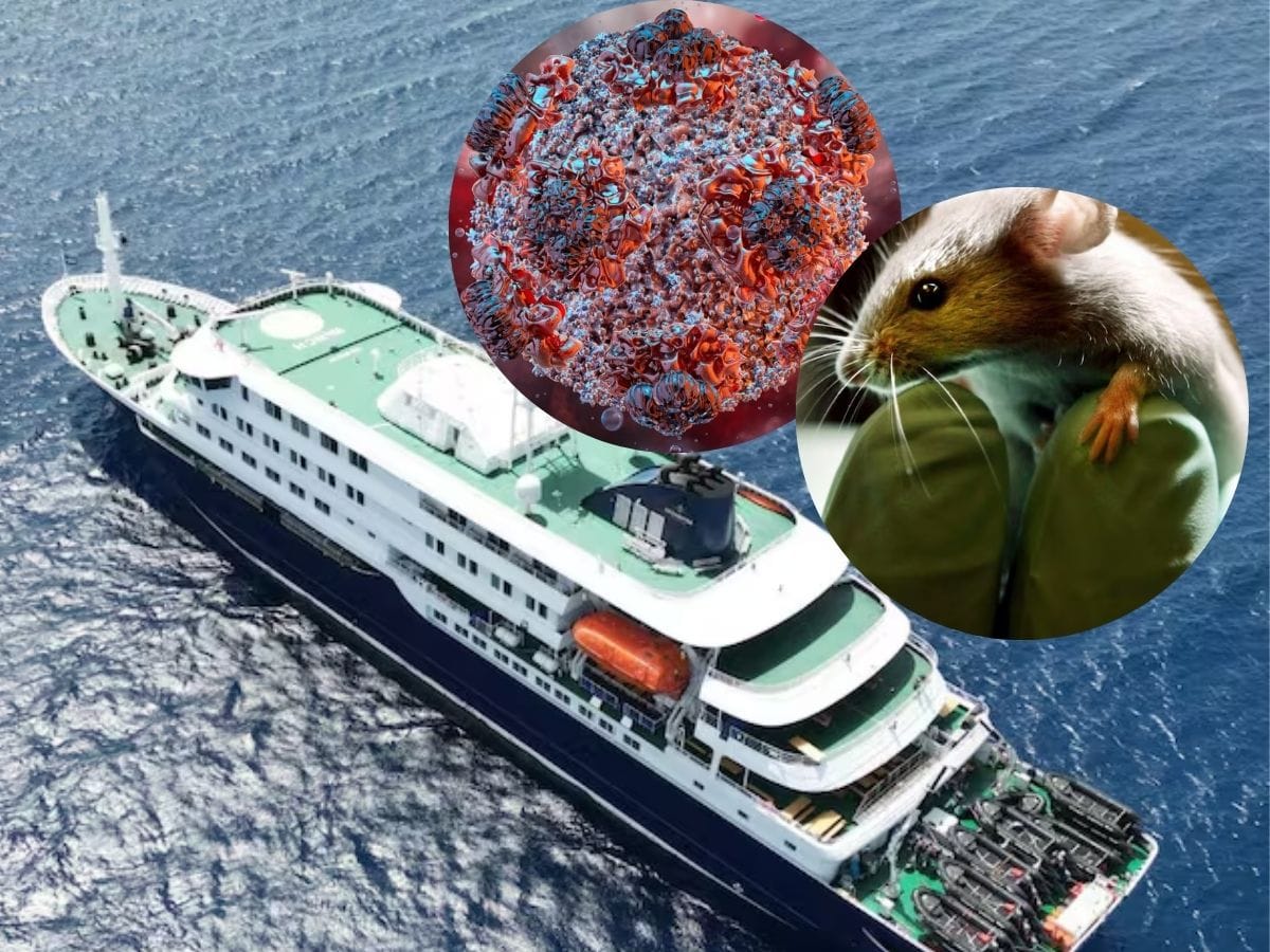 The MV Hondius cruise ship, site of the recent 'Andes' hantavirus strain outbreak. The ship sails Antarctic routes.

