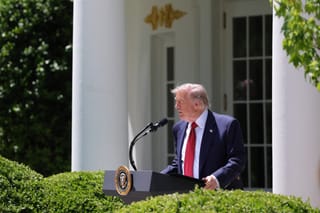 President Donald Trump delivers remarks during a Mother's Day luncheon in the Rose Garden of the White House on May 08, 2026 in Washington, DC.