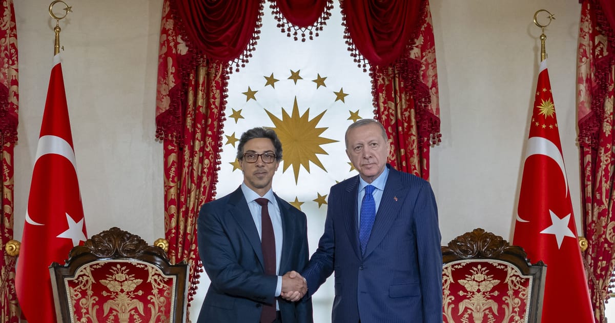 Mansour bin Zayed, President of Turkey discuss bilateral cooperation