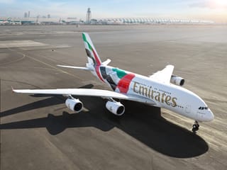 The special flag livery is one of many that have marked special national events and commemorations in the UAE.