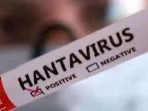 'UAE ready to deal with any health threats, including Hantavirus'