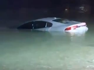 Two men rescued a trapped driver after his vehicle plunged into the sea in Sharjah.
