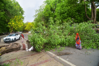 Officials said at least 100 people were killed and more than 50 injured in rain-related incidents, lightning strikes, collapsing walls and flying debris across multiple districts. Livestock losses and widespread damage to homes, crops and power infrastructure were also reported. 