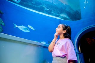 Visitors enjoy Sharjah Museum Day celebrations and exhibitions
