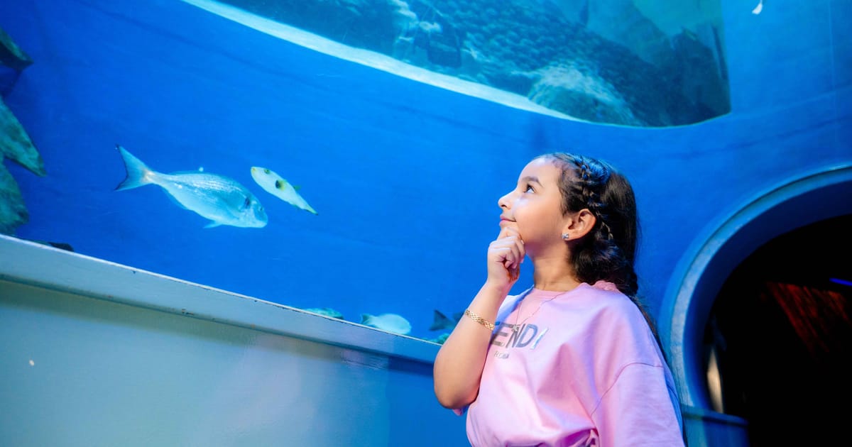 Sharjah museums offer free entry, workshops for Museum Day
