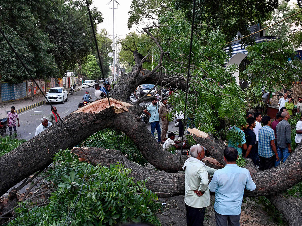 Residents watch as rescue workers clear the area of uprooted trees after strong winds and a storm in Prayagraj on May 13, 2026. 