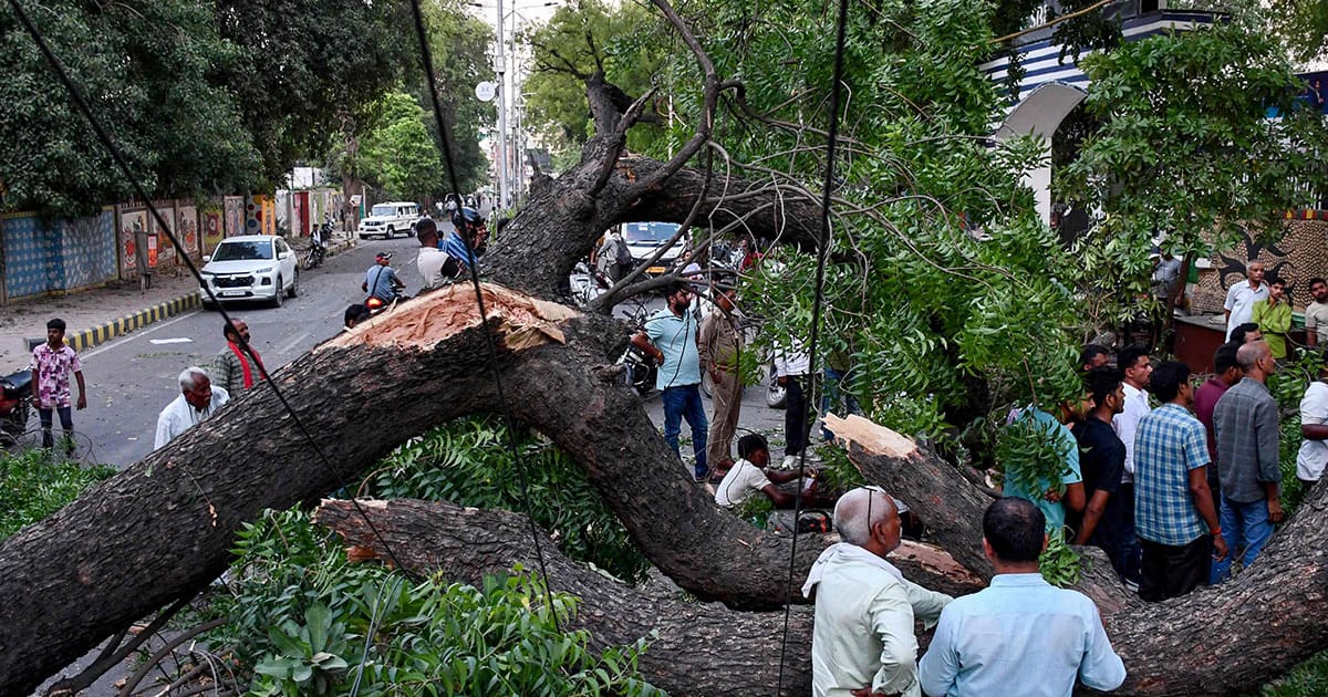 Man hurled 50 feet into air as India storms kill 111