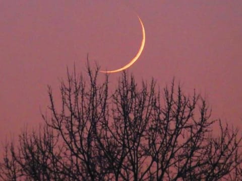 The court urged anyone capable of sighting the crescent moon to participate in the official moon-sighting committees formed across the Kingdom