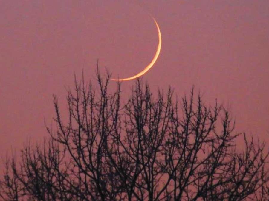 The court urged anyone capable of sighting the crescent moon to participate in the official moon-sighting committees formed across the Kingdom