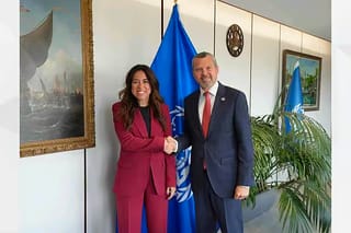UAE minister meets IMO chief to tackle Hormuz threats