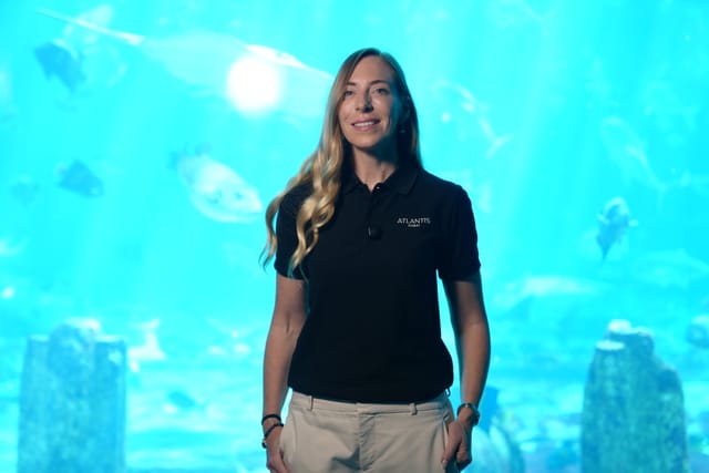 Inside Dubai’s underground Fish Hospital: How a team of experts keeps 65,000 marine animals alive