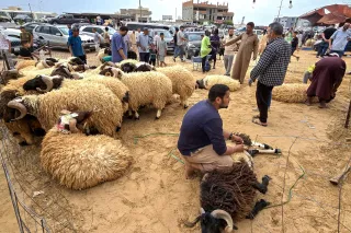 Demand for sacrificial animals is expected to increase by as much as 80 per cent in the days leading up to Eid Al Adha, while prices this year have climbed by around 10 per cent compared with last season.