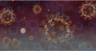 UAE enhances monitoring, coordination to tackle potential Ebola outbreaks