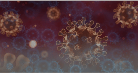 UAE enhances monitoring, coordination to tackle potential Ebola outbreaks