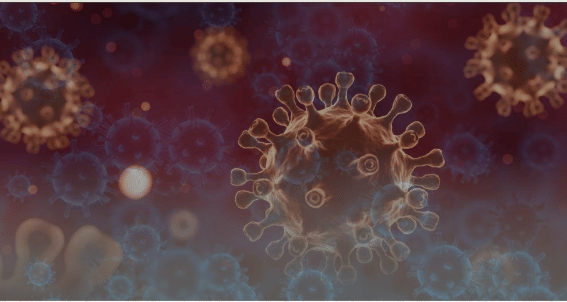 UAE enhances monitoring, coordination to tackle potential Ebola outbreaks