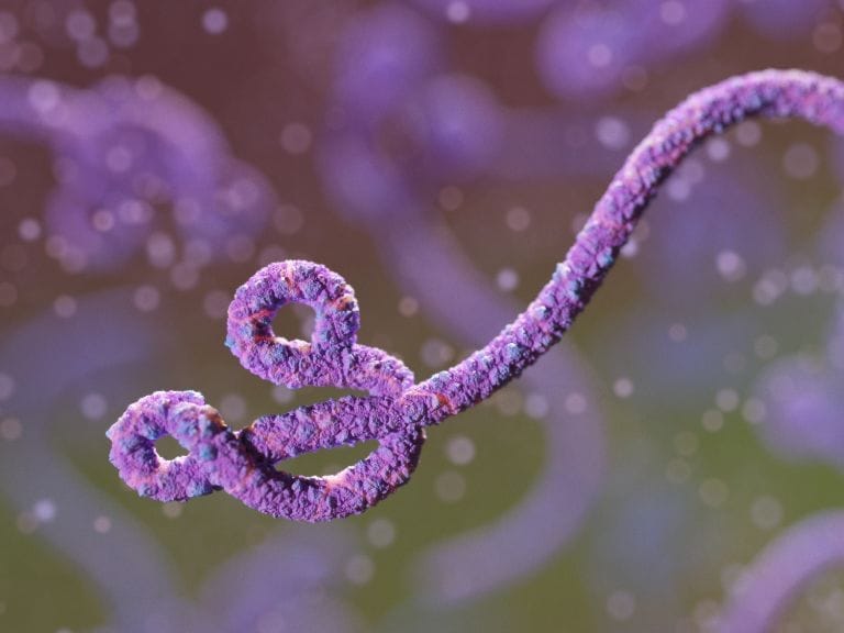 People who were in the Democratic Republic of Congo, or neighbouring Uganda or South Sudan, within the past 21 days must now enter the US via Washington Dulles International Airport which serves the nation's capital, the Centers for Disease Control and Prevention said.
