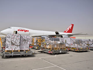 UAE sends 100 tonnes of humanitarian aid to Gaza