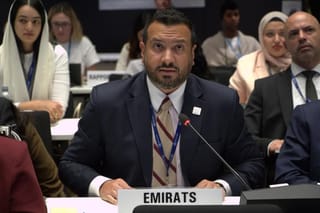 UAE backs WHO move against Iran's attacks on civilians