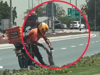 Talabat delivery rider was filed as he removed a dead cat from the middle of a busy road and carrying it to a safer place.
