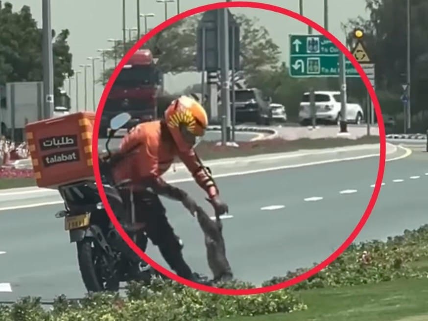 Talabat delivery rider was filed as he removed a dead cat from the middle of a busy road and carrying it to a safer place.