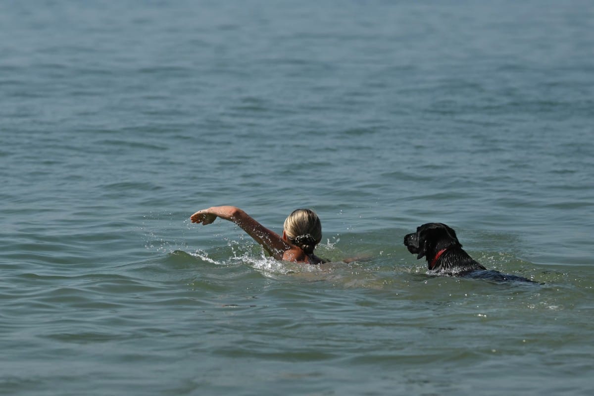 A swimmer and dog enjoy the cool sea temperatures off the beach in Brighton, on the south coast of England on May 25, 2026, as Monday is expected to be the hottest bank holiday ever, with heatwave conditions spreading to parts of southeast England and London.