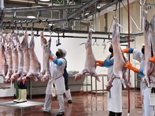 The ministry urged residents to purchase sacrificial animals only from approved and licensed outlets to ensure they are healthy and free from disease.