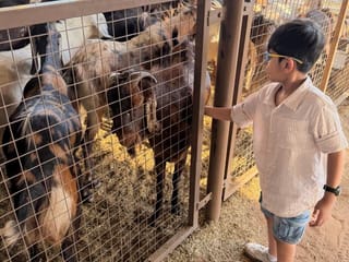 Orhan Uddin with the young goats