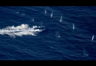 Warning shots create large splashes near the fleeing vessel before it was halted. Over a ton of cocaine was seized from suspects on board a go-fast boat following a high-speed chase across open ocean off Panama under the US Southern Command.