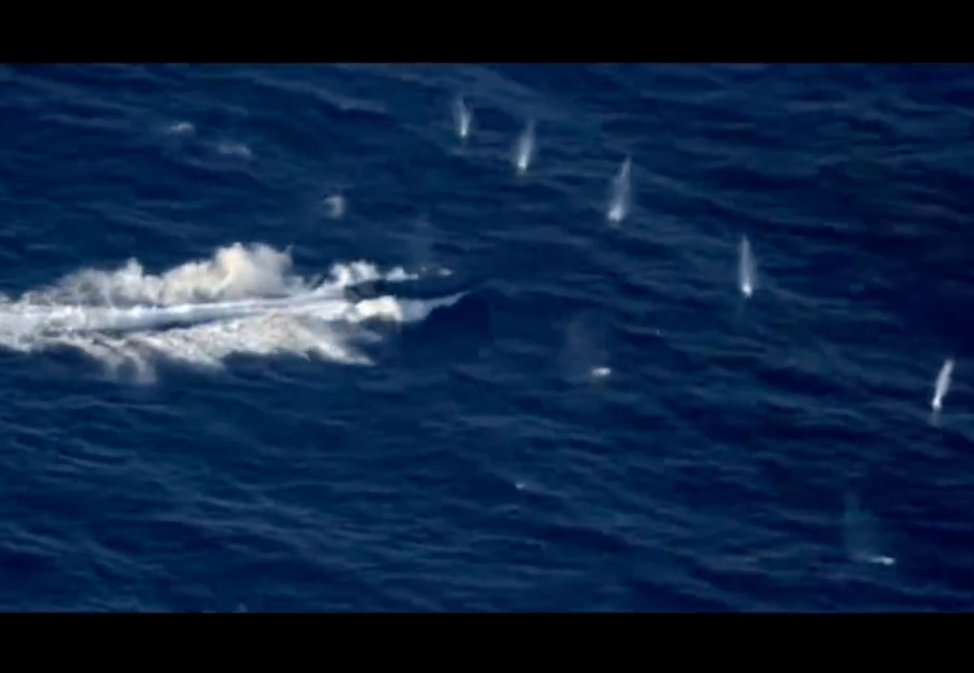 Warning shots create large splashes near the fleeing vessel before it was halted. Over a ton of cocaine was seized from suspects on board a go-fast boat following a high-speed chase across open ocean off Panama under the US Southern Command.
