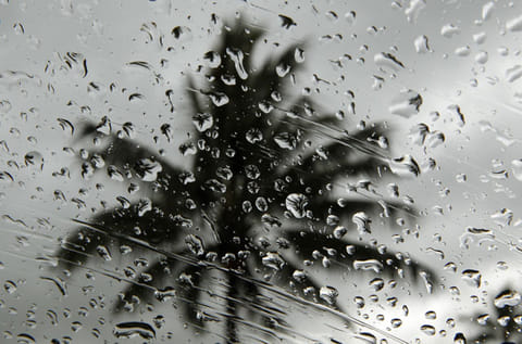 The National Centre of Meteorology (NCM) has recorded light rain across various parts of the region