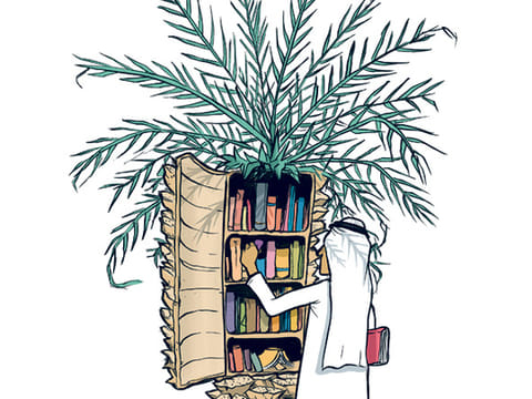 Danesh Mohiuddin, Gulf News