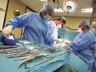 Deceased donor transplant milestones