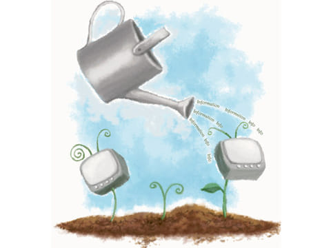 Illustration: Dana A. Shams/©Gulf News