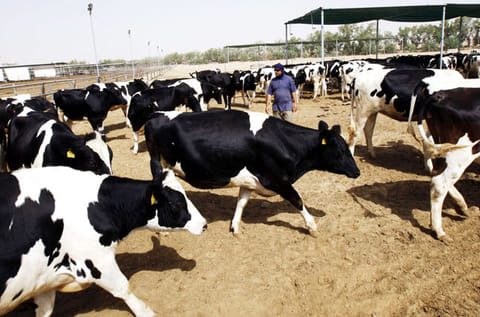 Middle East’s first biogas facility now operational at Al Rawabi.