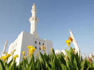 Eid Al Adha 2020: UAE mosques to open at 50% capacity