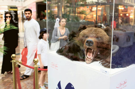 FRANCOIS NEL/Gulf News