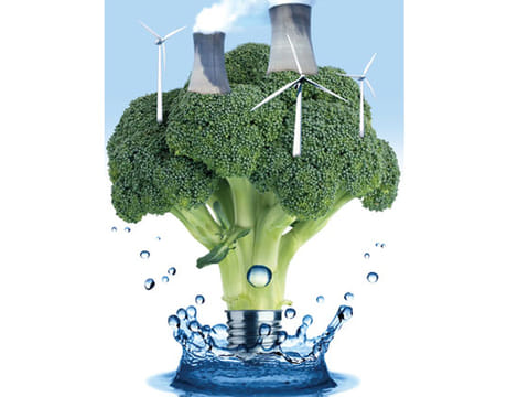 Niño Jose Heredia/©Gulf News