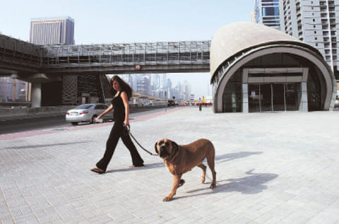 Gulf News Archives