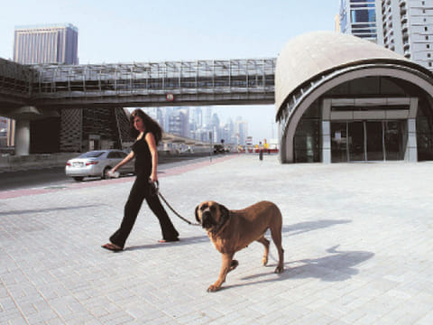 Gulf News Archives