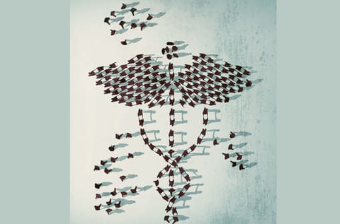 Dana A.Shams/©Gulf News