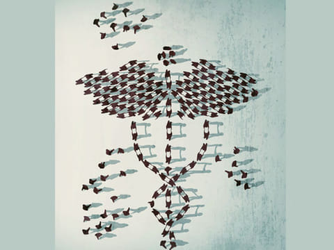 Dana A.Shams/©Gulf News