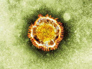 Coronavirus outbreak in China: What we know so far about the new virus