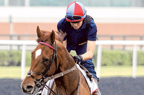 Virendra Saklani/Gulf News