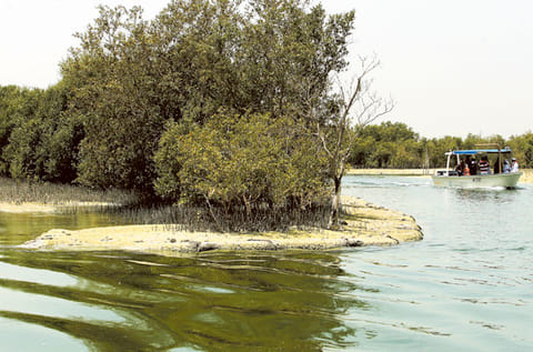 Gulf News archives