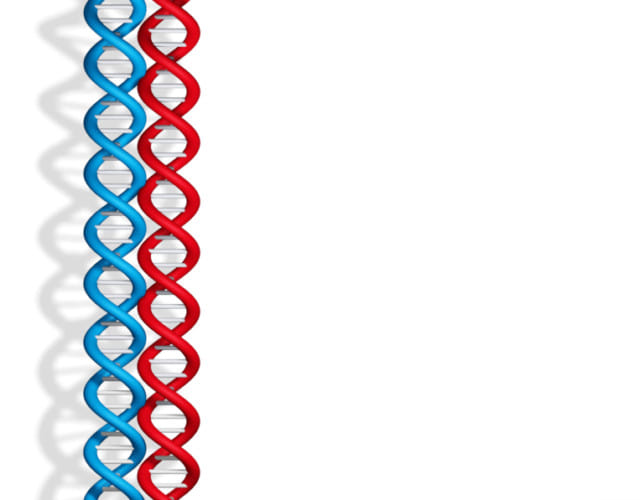 1.1222671-3510024940