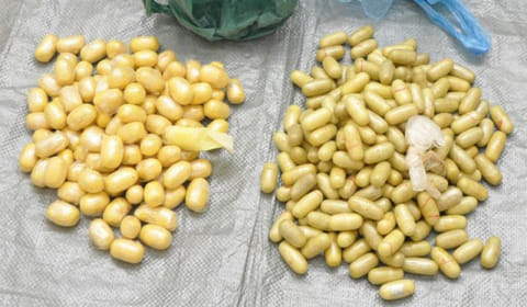 Drugs worth 2.5b riyals seized in Saudi Arabia